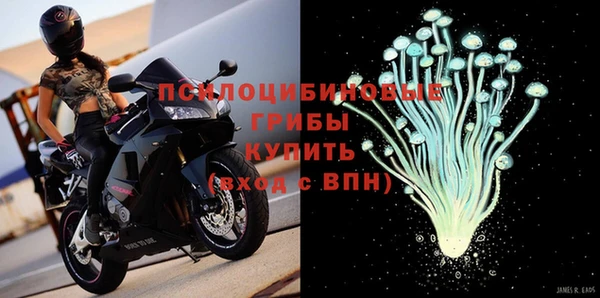 сатива Абдулино
