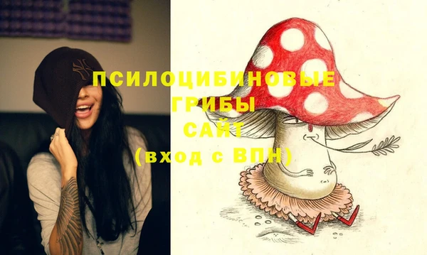 прущая мука Алзамай
