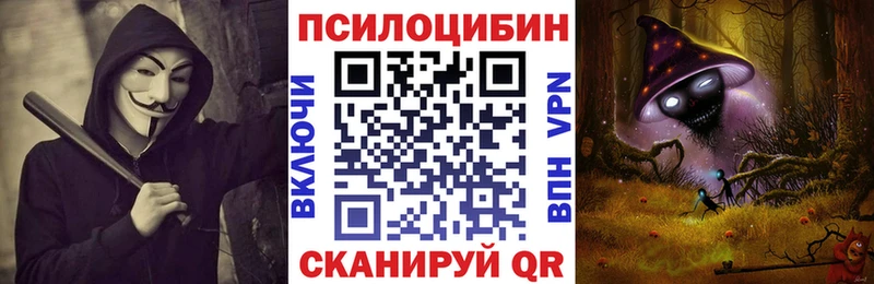 Галлюциногенные грибы мицелий  Вилючинск 